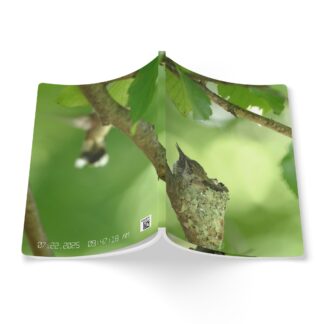 Hummingbird Life Softcover Journal (with Inside Prints)
